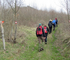 20150405_papuk_madjari_016