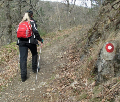 20150405_papuk_madjari_017