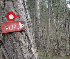 20150405_papuk_madjari_019