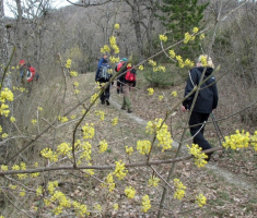 20150405_papuk_madjari_020