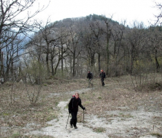 20150405_papuk_madjari_022