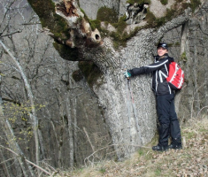 20150405_papuk_madjari_023