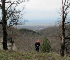 20150405_papuk_madjari_028