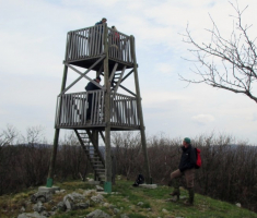 20150405_papuk_madjari_034
