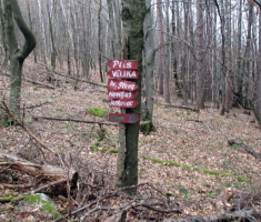 20150405_papuk_madjari_046