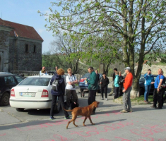 20150412_mecsek_007