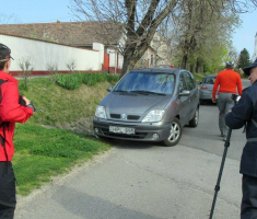 20150412_mecsek_012
