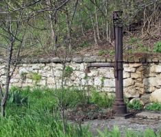 20150412_mecsek_013