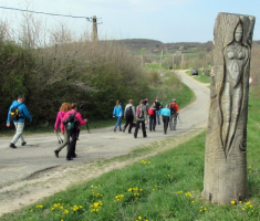 20150412_mecsek_014