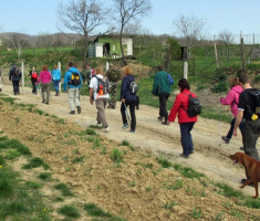 20150412_mecsek_015