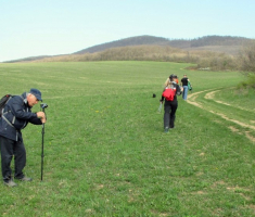 20150412_mecsek_016