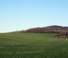 20150412_mecsek_019