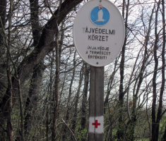 20150412_mecsek_021