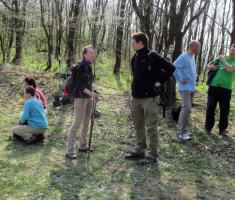 20150412_mecsek_023