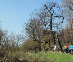 20150412_mecsek_024