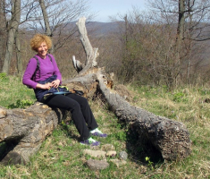 20150412_mecsek_026