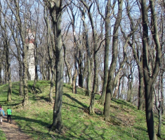 20150412_mecsek_029