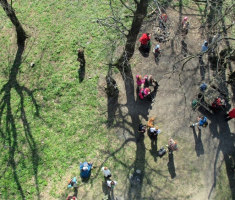 20150412_mecsek_030