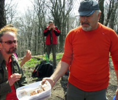 20150412_mecsek_035