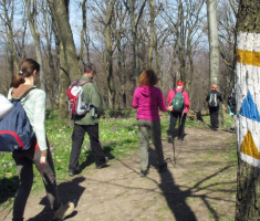 20150412_mecsek_040
