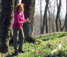 20150412_mecsek_041