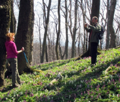 20150412_mecsek_042