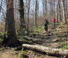 20150412_mecsek_045