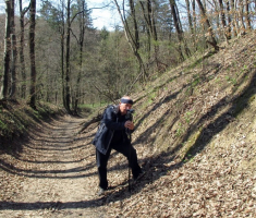 20150412_mecsek_047