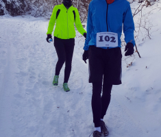 20170121_mala_sojka_001