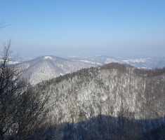 20170121_mala_sojka_006