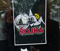 20170121_mala_sojka_020