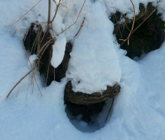 20170121_pozeska_gora_04