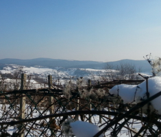 20170121_pozeska_gora_05