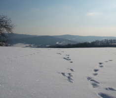 20170121_pozeska_gora_08