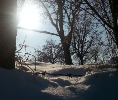 20170121_pozeska_gora_10