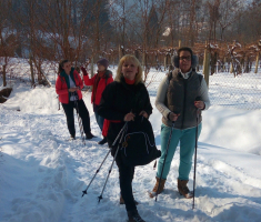 20170121_pozeska_gora_19