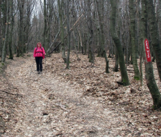 20160221_papuk_trisnjica_021