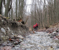 20160221_papuk_trisnjica_036