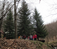 20160221_papuk_trisnjica_046