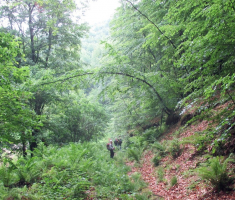 20170521_krndija_012