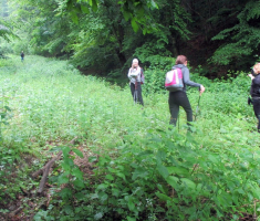 20170521_krndija_013