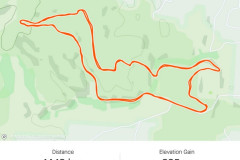 21.08.2021. - 1. šumski trail Koprivnica