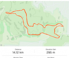 20210821_prvi_sumski_trail_koprivnica_067-jpg