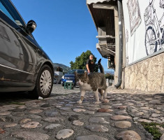 20250921_18_sarajevo_polumaraton_053