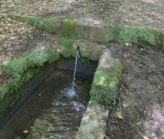 20250921_73_dani_slavonskih_planinara_010