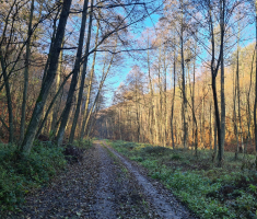 20211121_trkogazije_045
