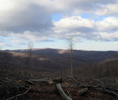 20141221_krndija_045