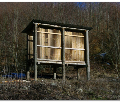 papuk_00021