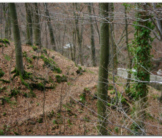 papuk_00032