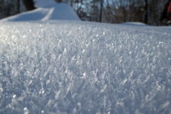 22.01.2017. - Šapice na Sovskom jezeru